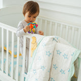 Little Charms Aqua Quilt
